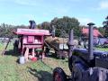 IMG-20241104-WA0017