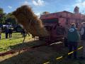 IMG-20241104-WA0020